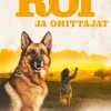 Susikoira Roi ja ohittajat
