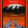 Tinga och vännerna vid glaciären