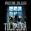Tulipyörä