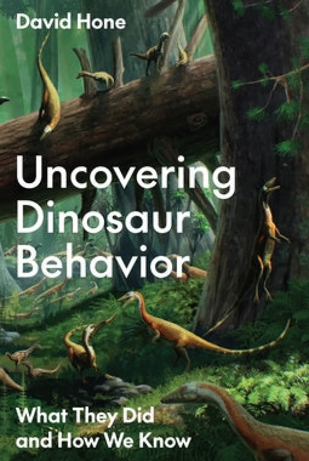 Uncovering Dinosaur Behavior
