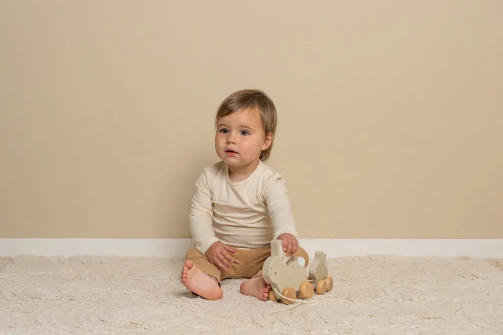 Vetolelu Baby Bunny