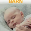Vi väntar barn (25 kpl)