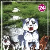 Weed 24